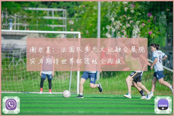 谢尔基：法国队多元文化融合展现实力期待世界杯团结全民族