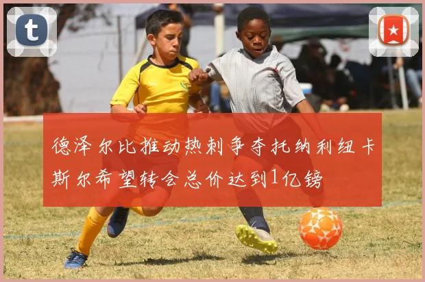 德泽尔比推动热刺争夺托纳利纽卡斯尔希望转会总价达到1亿镑