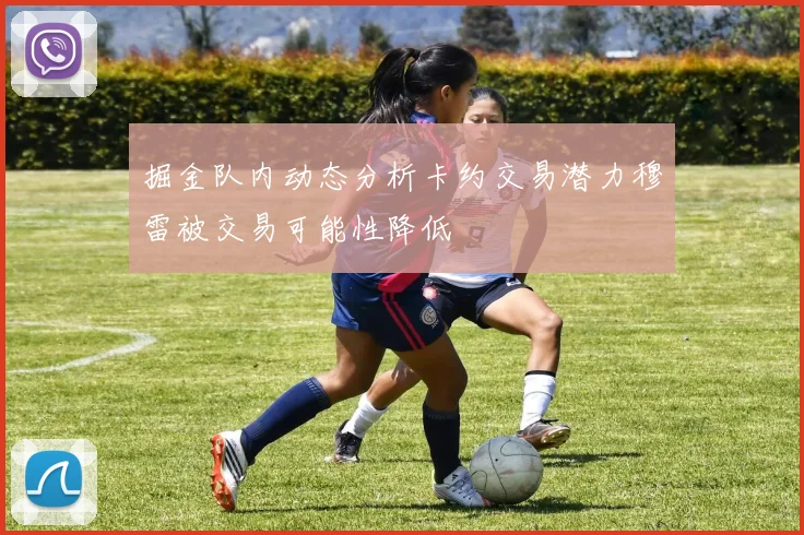 掘金队内动态分析卡约交易潜力穆雷被交易可能性降低